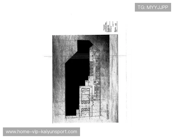 纽卡斯尔评估德布劳内式区域大师——打造城市新引擎的未来蓝图