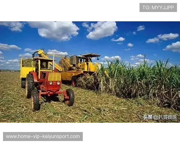 多米尼加运动产业助推经济发展,多米尼加发展水平 多米尼加运动产业助推经济发展,多米尼加发展水平