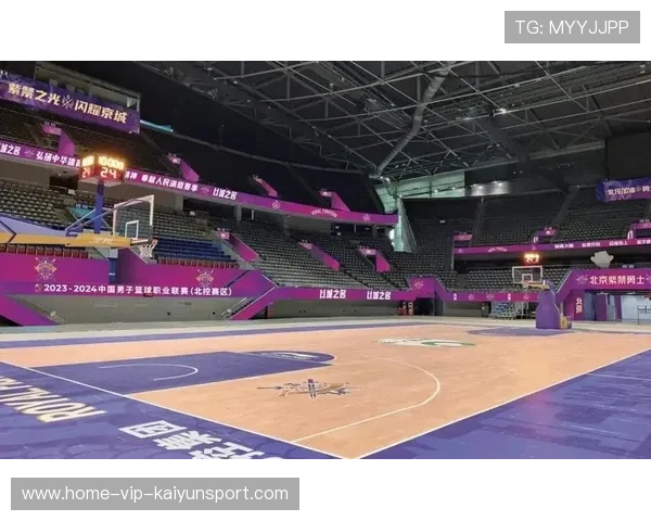 篮球赛事在中国体育场馆资源中的使用效率,篮球场馆建设 篮球赛事在中国体育场馆资源中的使用效率,篮球场馆建设